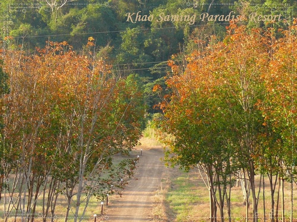 Khao Saming Paradise Resort Trat Eksteriør bilde